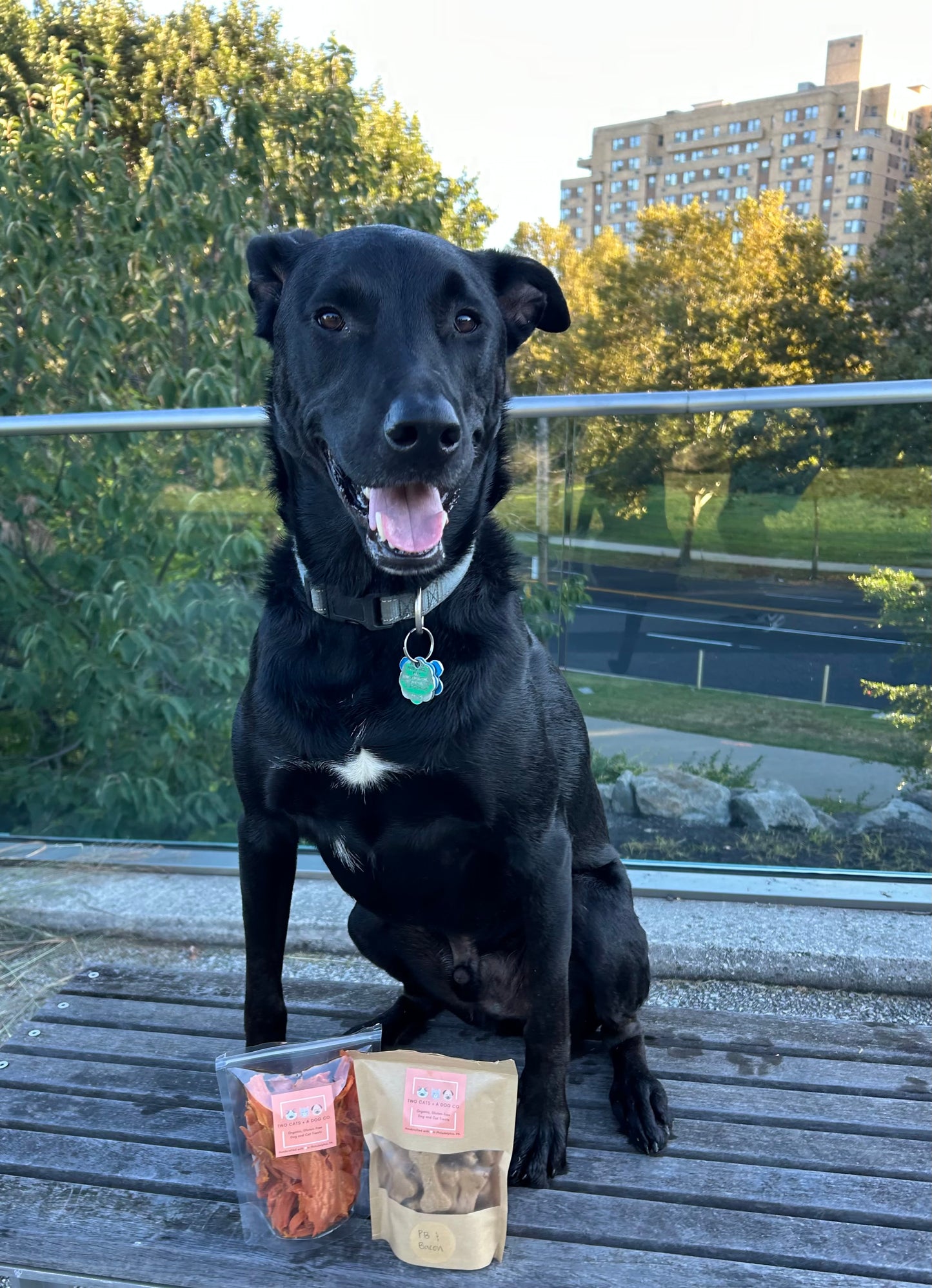 Sweet Potato Chews スイートポテト