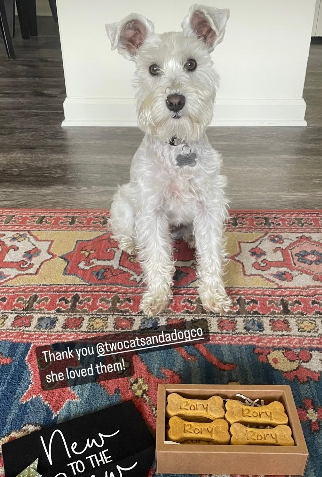 Personalized Dog Biscuits (gift box)
