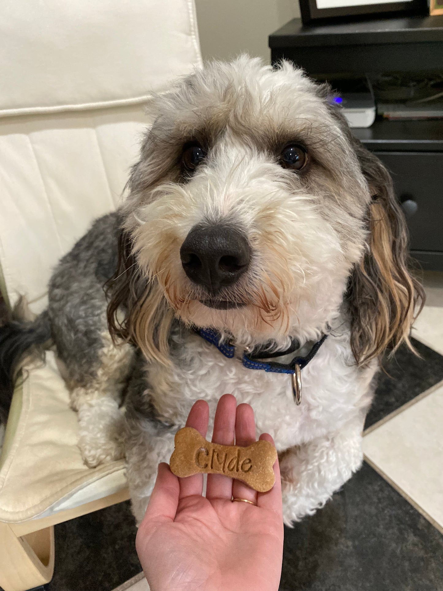 Personalized Dog Biscuits (gift box)